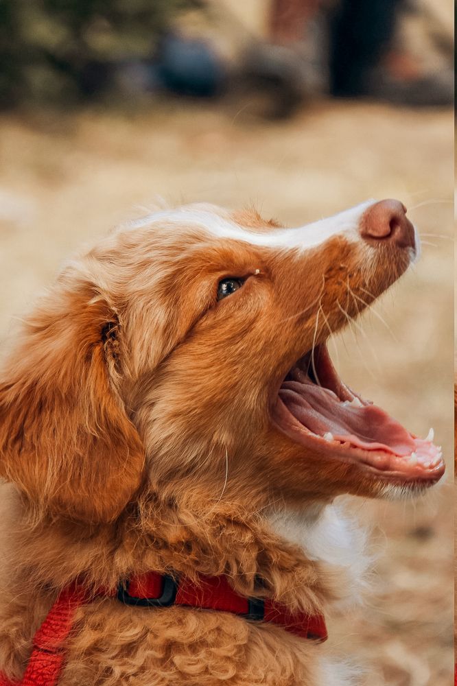 Photograph by Ольга