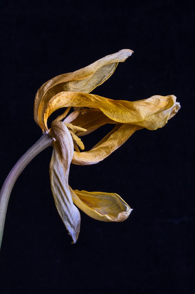 Фотография автора Наталья Василькова