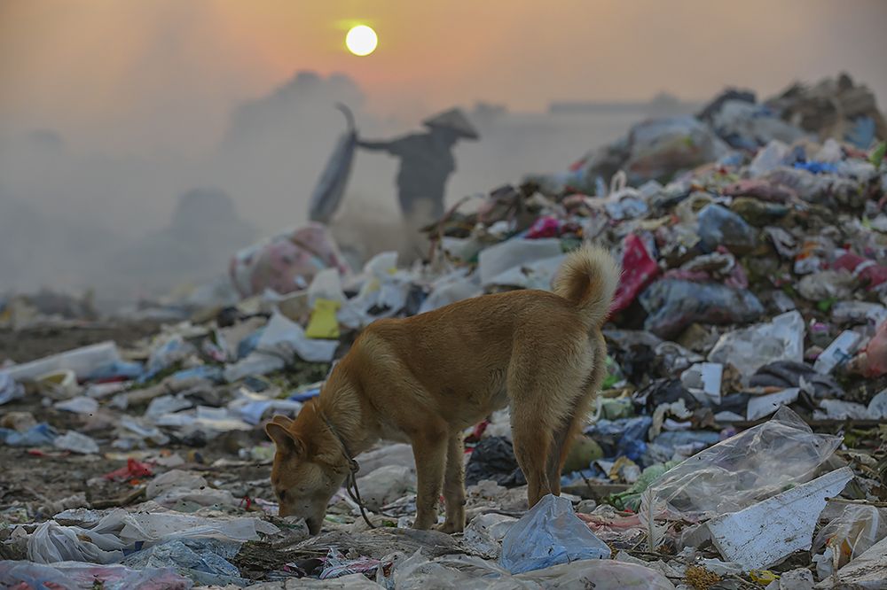 Photograph by Nguyen Ho Quan