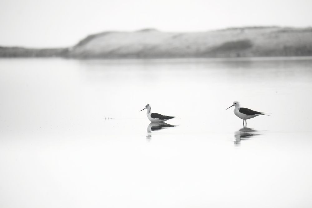 Photograph by Deepak KGK