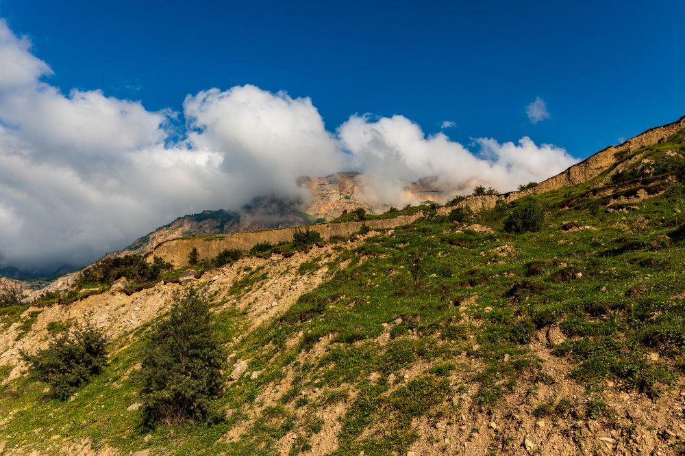 Фотография автора Дмитрий Referee