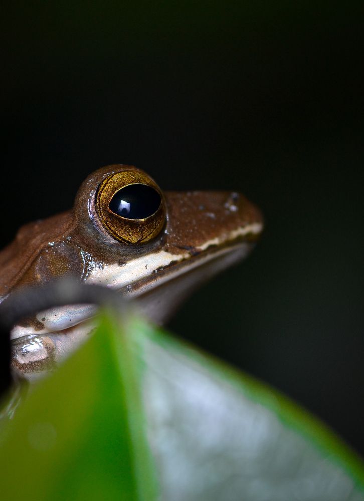 Photograph by Kasun Wickramasinghe
