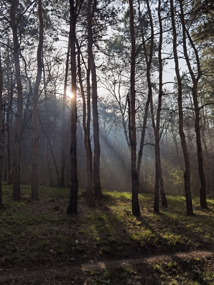 Photograph by Игорь М.