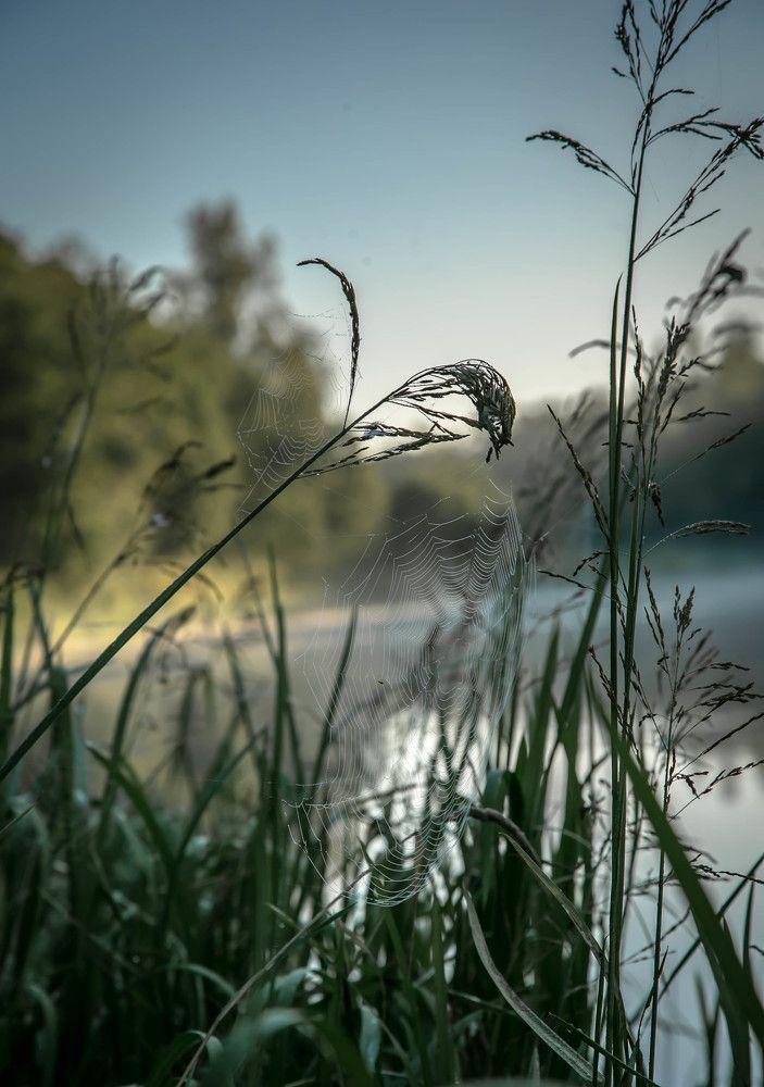 Photograph by Ольга Сафронова