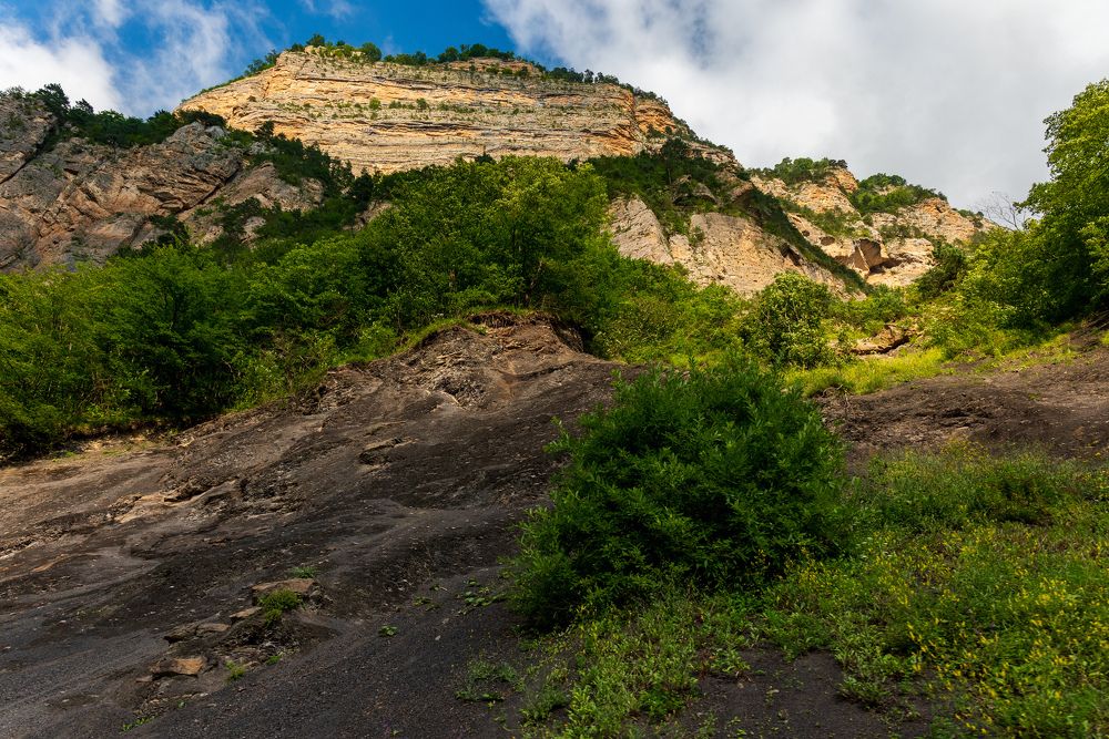 Фотография автора Дмитрий Referee
