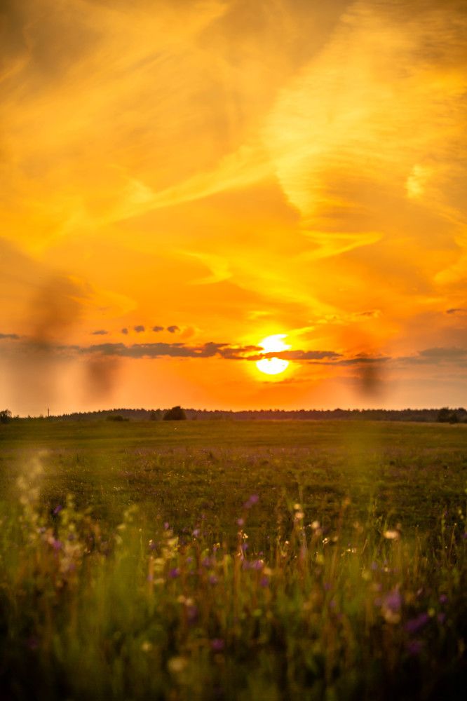 Photograph by Ольга Сафронова