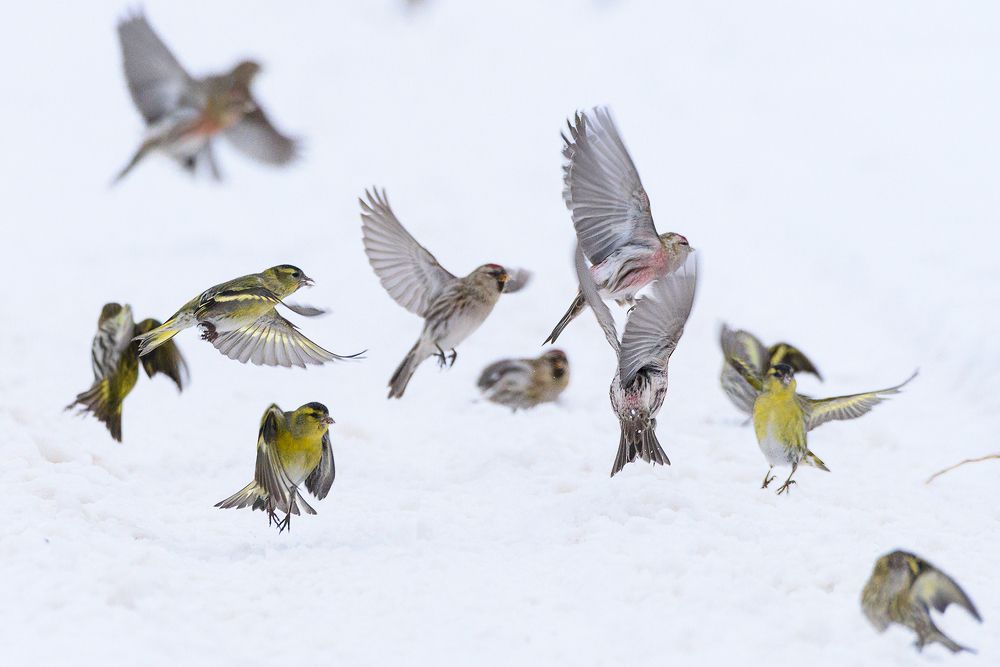 Фотография автора Александр Добыш