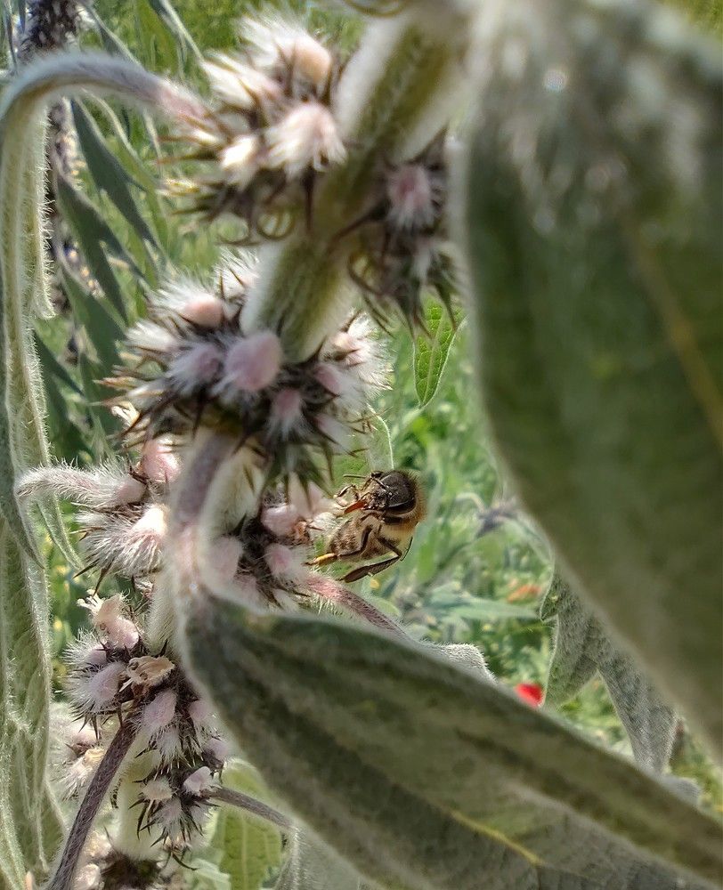 Photograph by Lina Invers