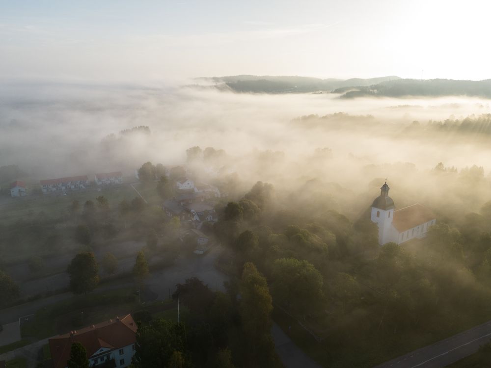 Photograph by Linda Persson