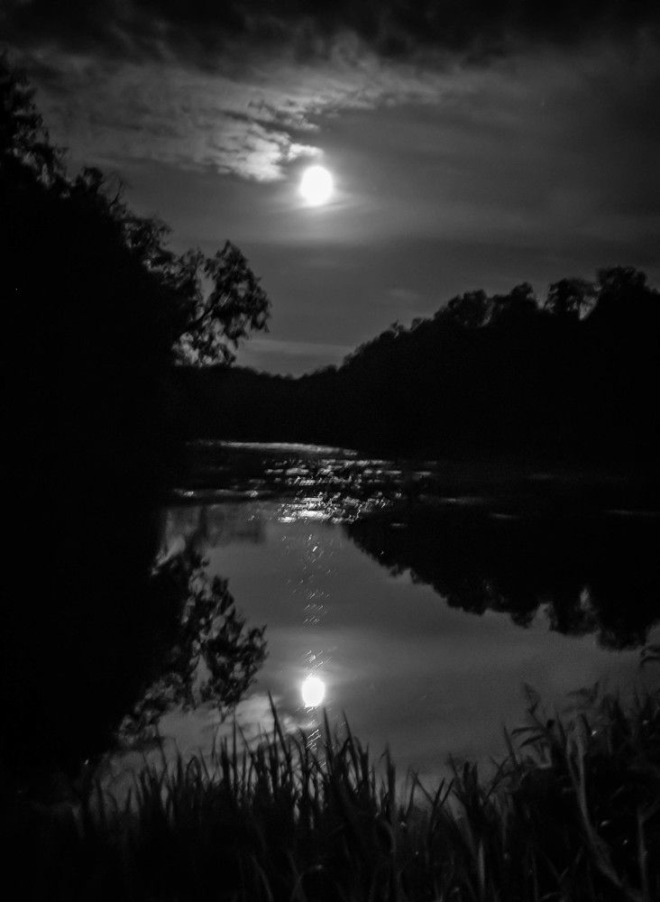 Photograph by Ольга Сафронова