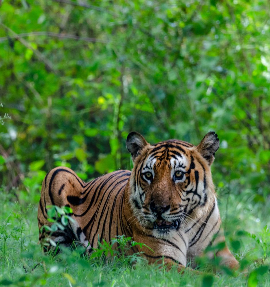 Photograph by Sarasija Ghosh