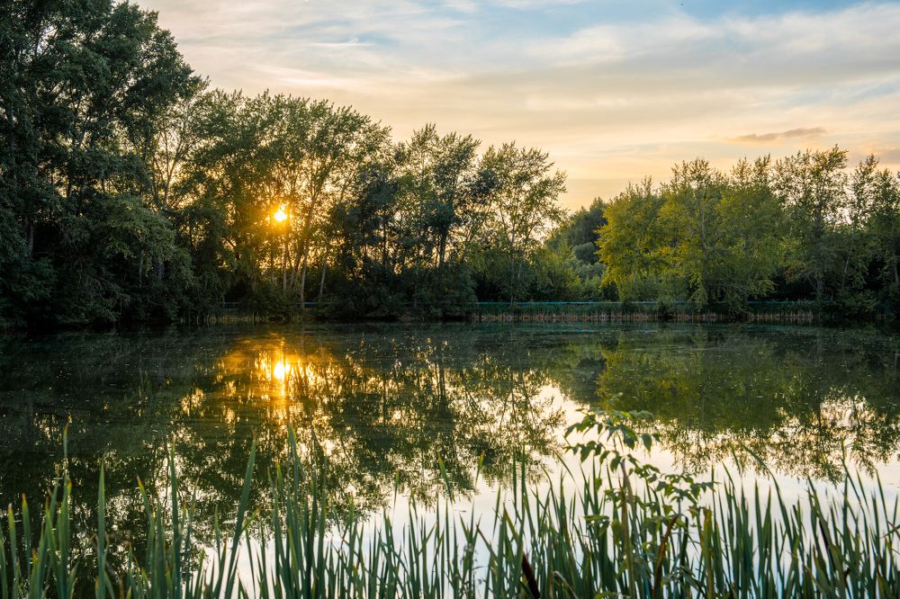 Фотография автора Александр Дюльгер