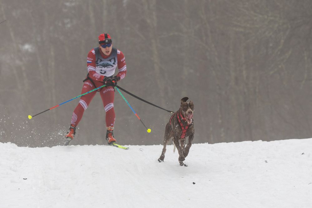 Photograph by Илья Юфа