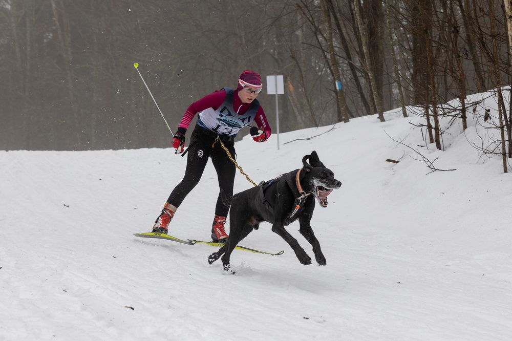 Photograph by Илья Юфа