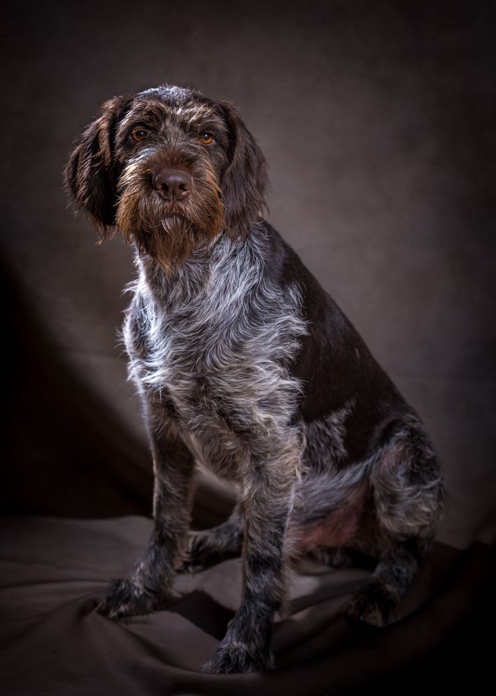 Фотография автора Александр Дюльгер