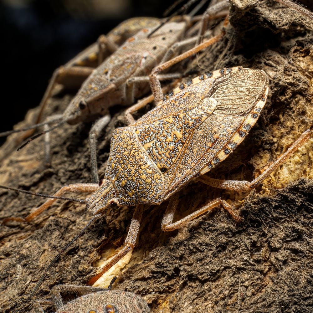 Photograph by Vahid Sabet