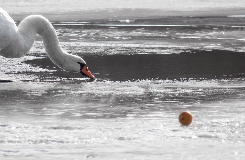 Фотография автора Денис Макаренко