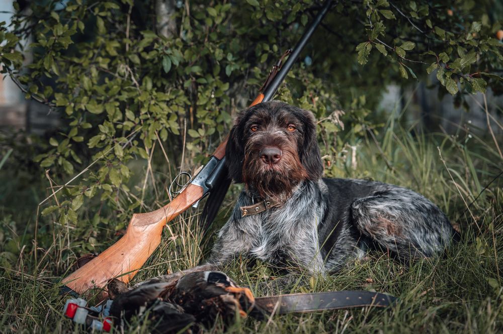 Фотография автора Александр Дюльгер