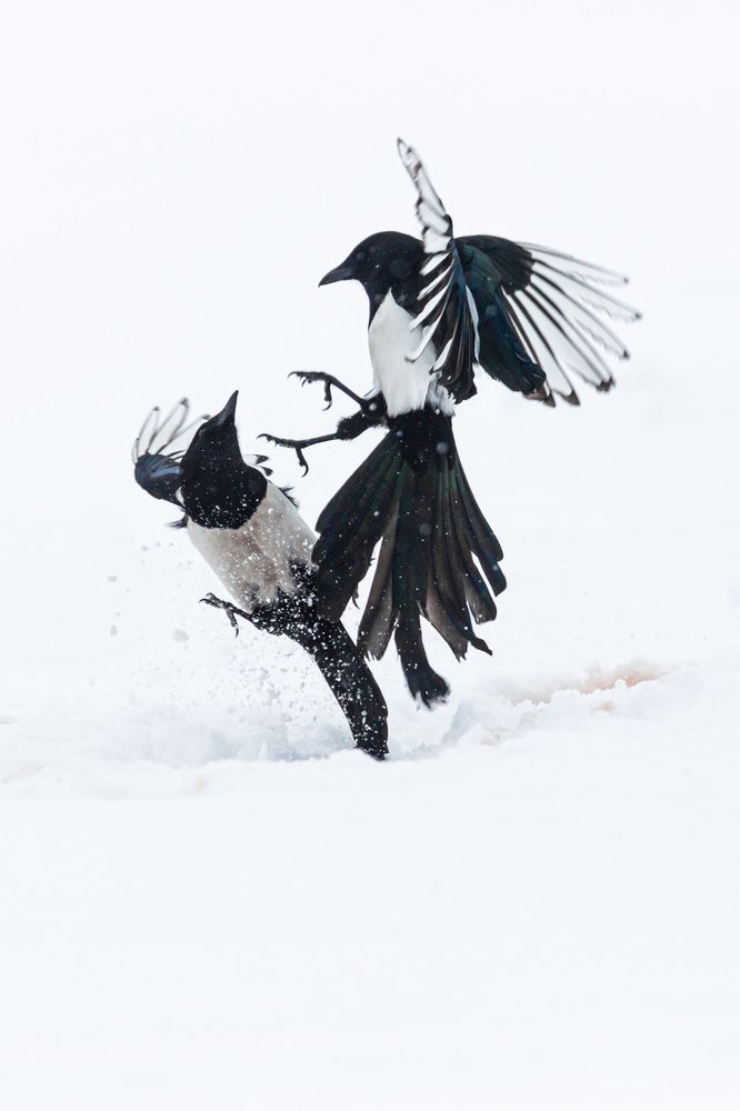 Фотография автора Сергей Ульихин