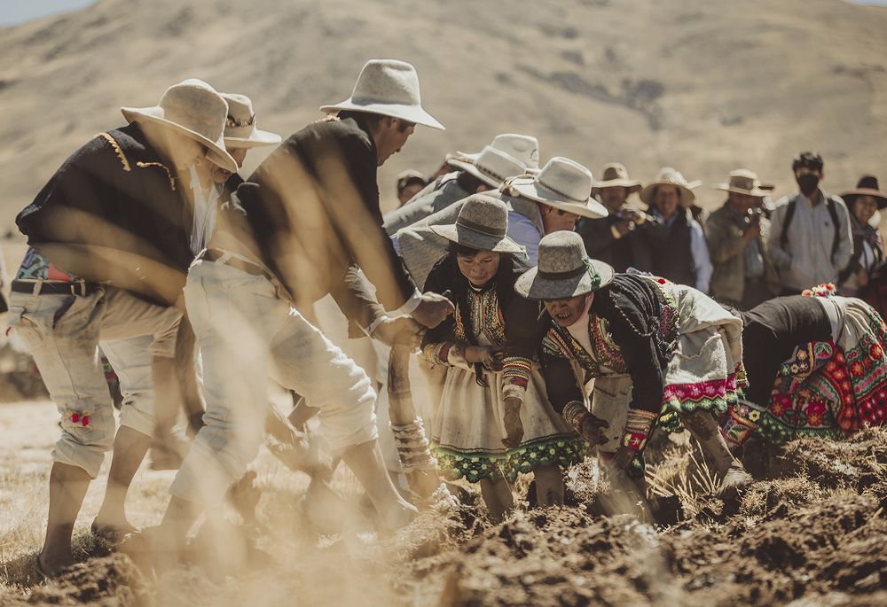 Photograph by Frederick Olivera