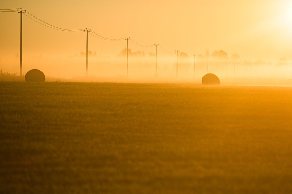 Photograph by Александра Судьбина