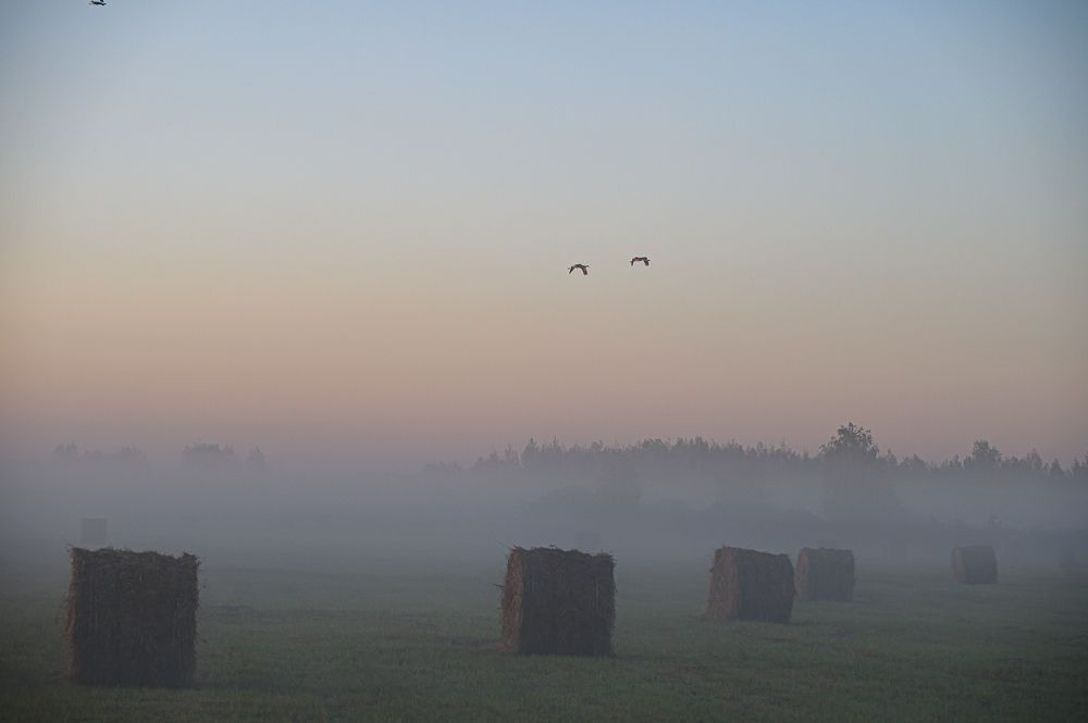 Photograph by Александра Судьбина