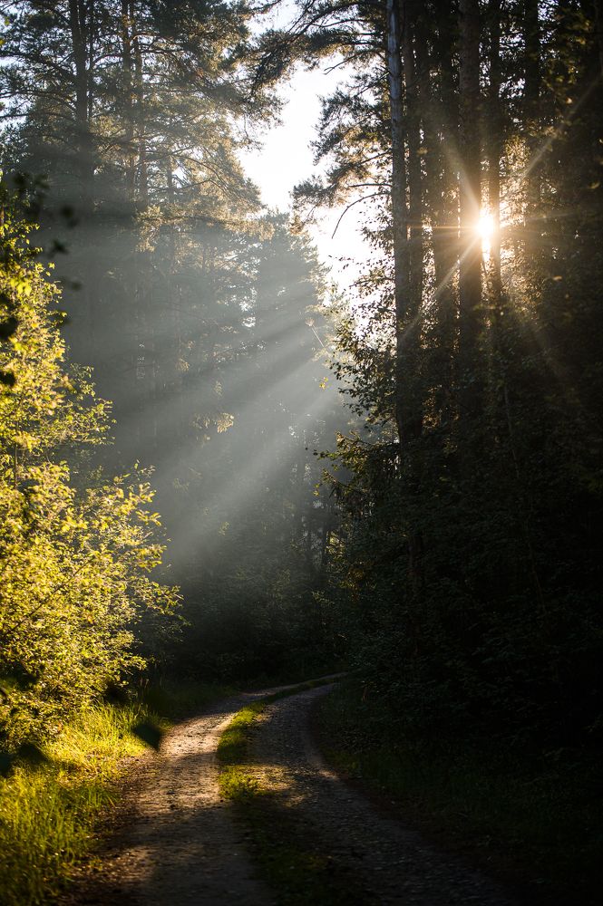 Photograph by Александра Судьбина
