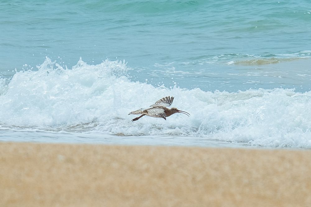 Photograph by Инна Толстореброва