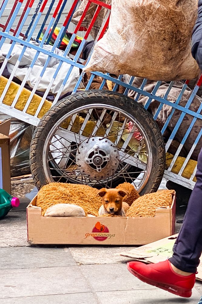 Photograph by KEYCIANE AMADO