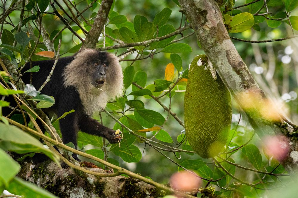 Photograph by Dipanjan Pal