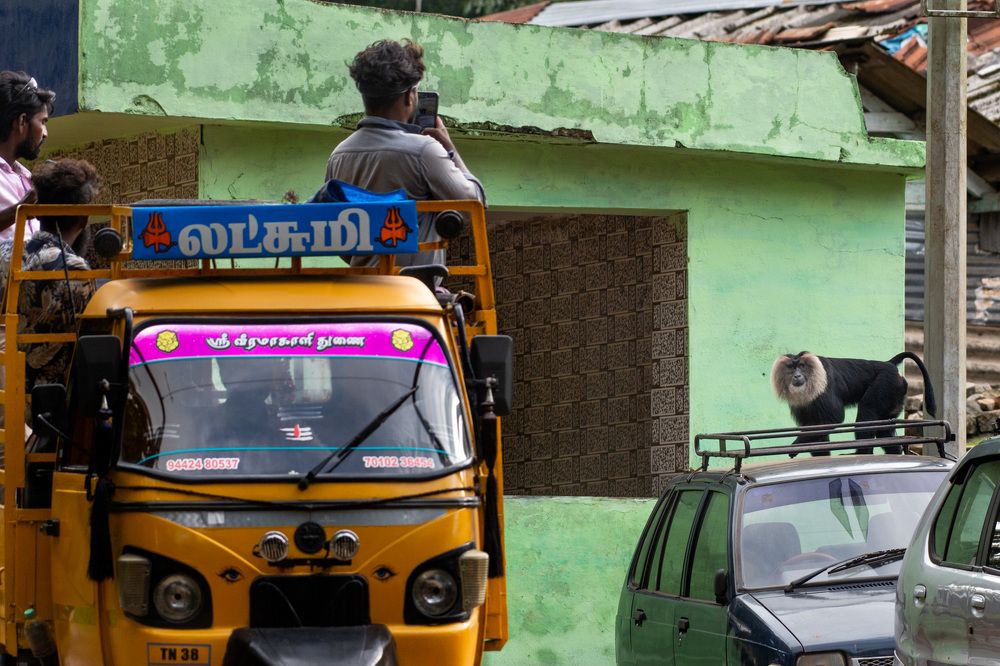 Photograph by Dipanjan Pal