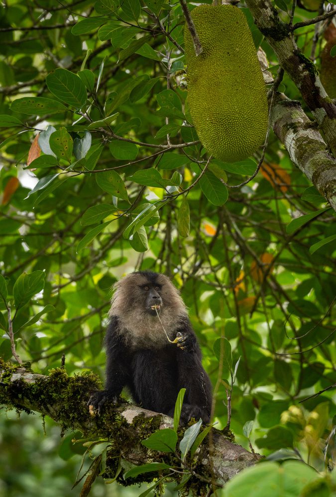 Photograph by Dipanjan Pal