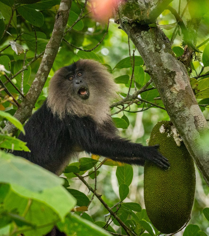 Photograph by Dipanjan Pal