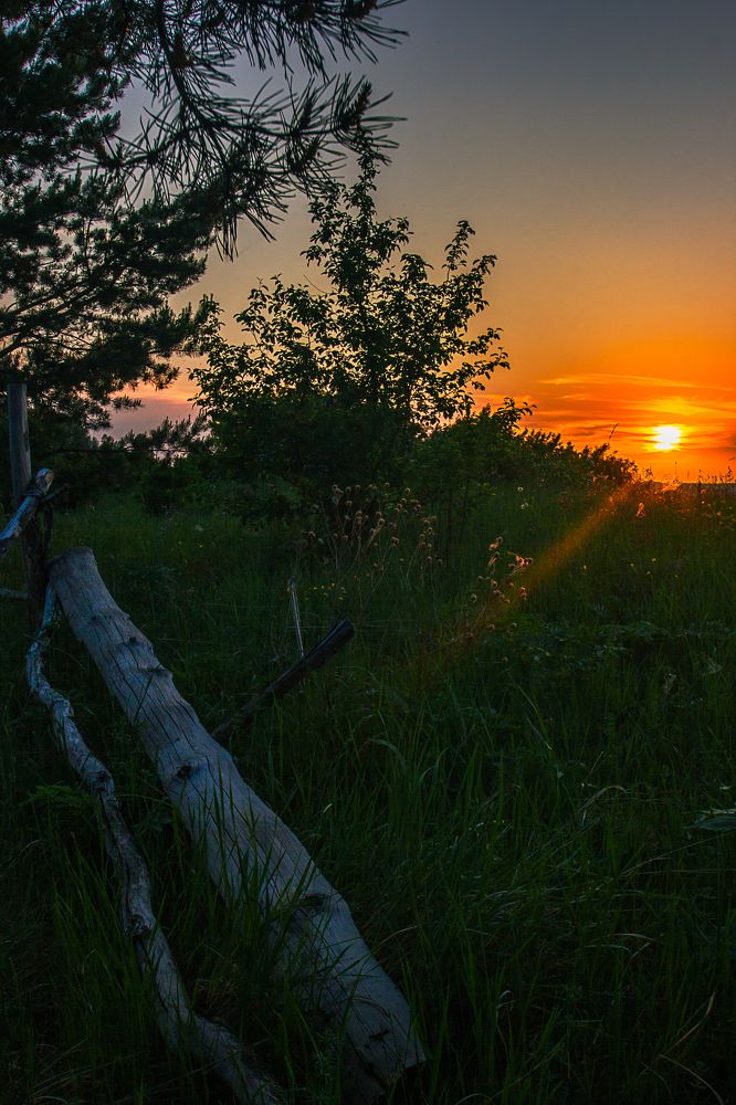 Photograph by Александр Жариков