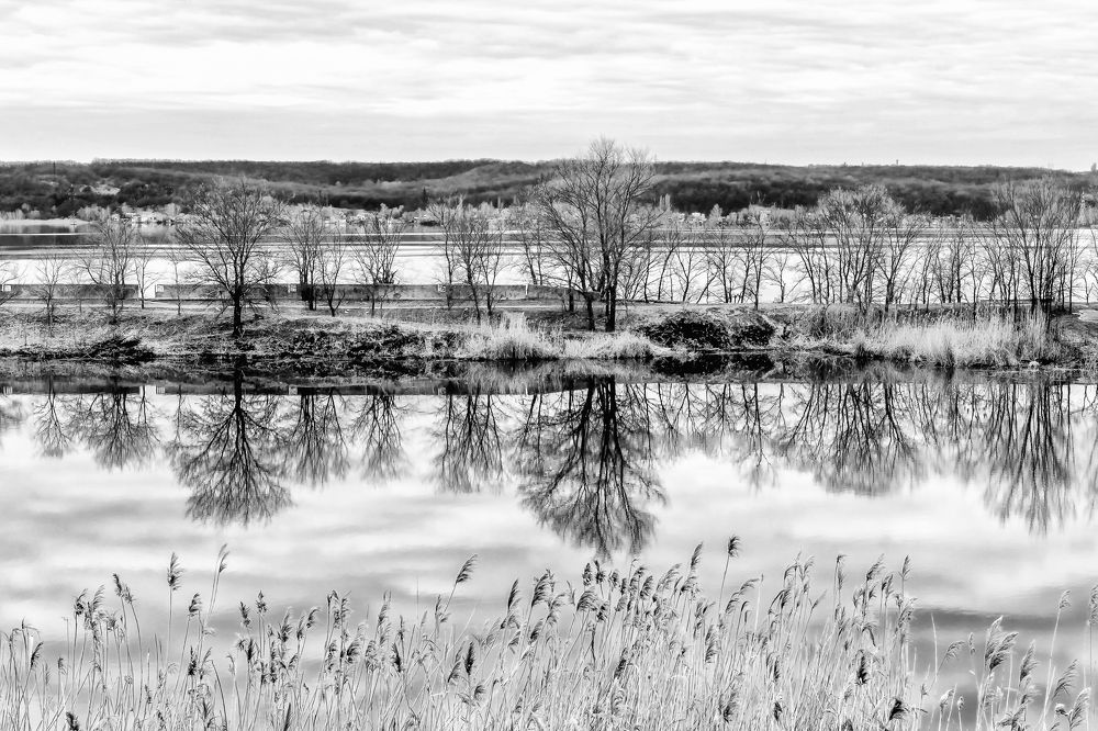 Береговая линия