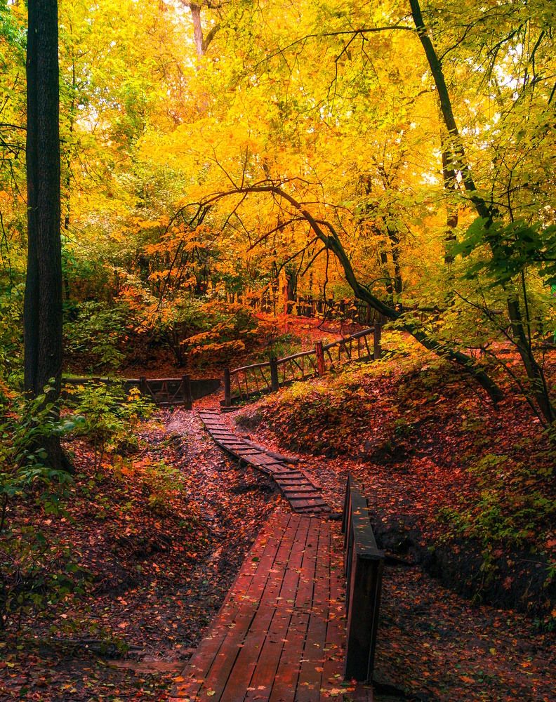 Фотография автора Александр Андреянов