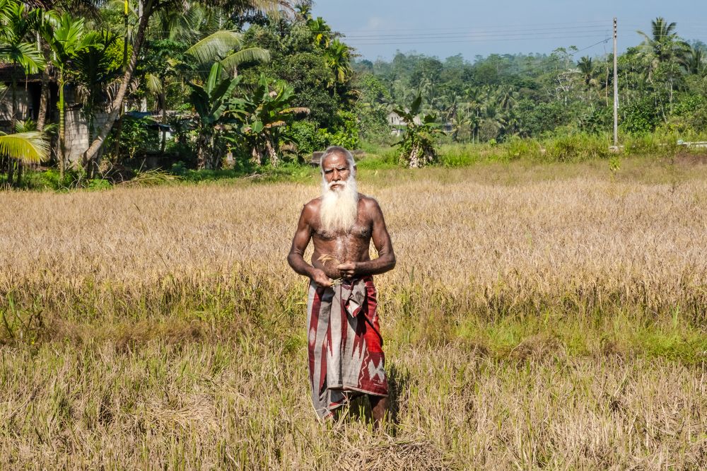 Photograph by Инна Толстореброва