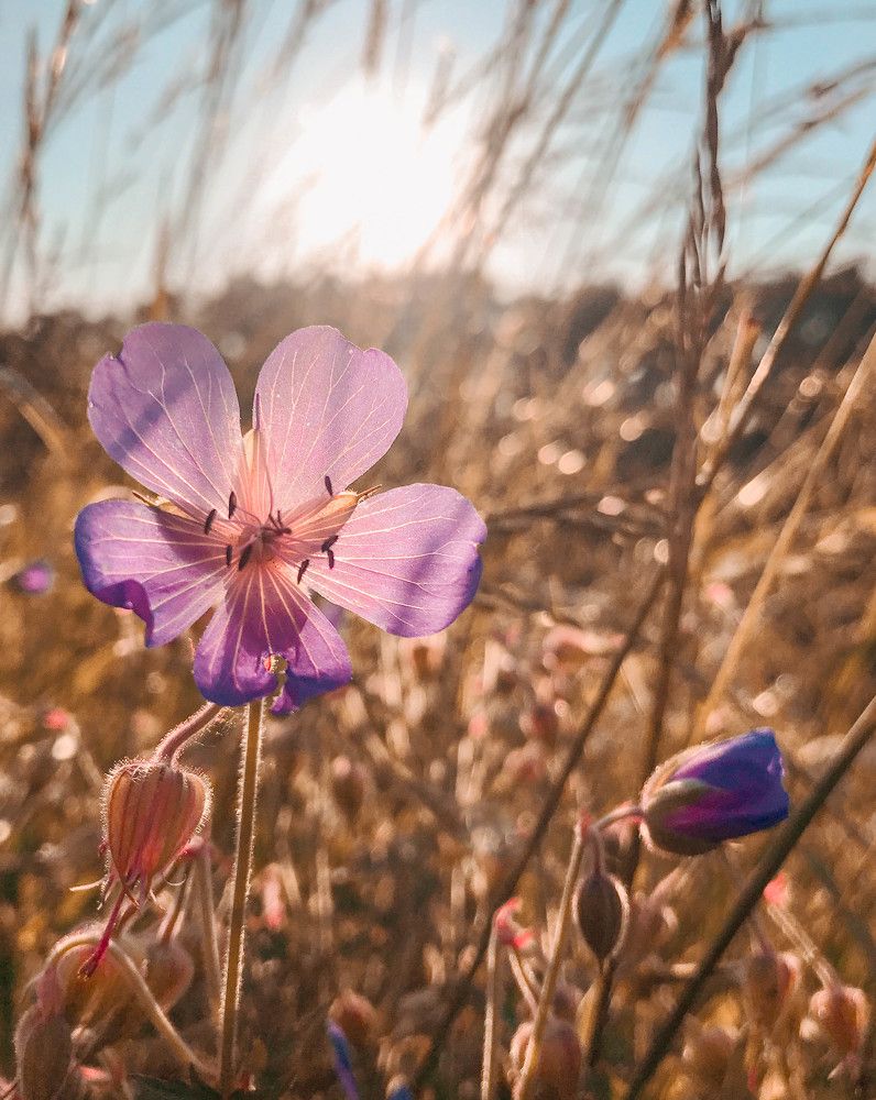 Фотография автора Вилена Дмитрюк