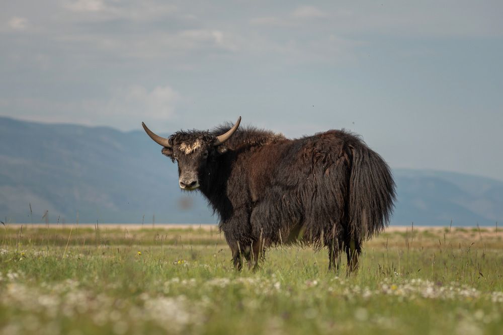 Photograph by Сизых Алëна