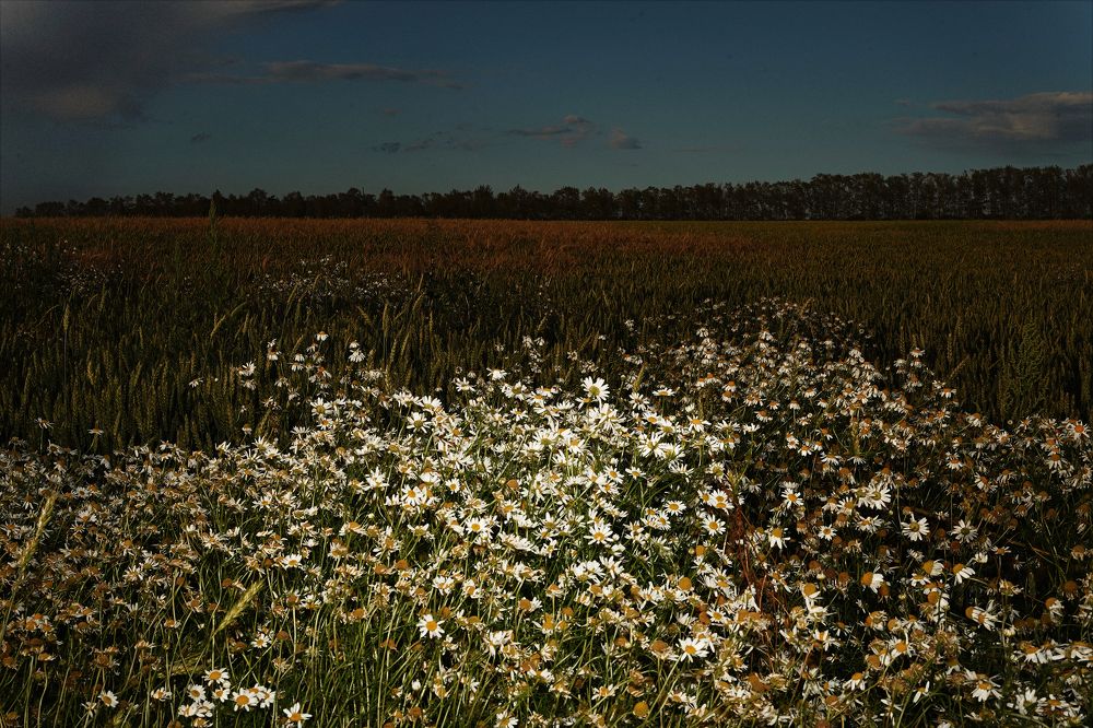 Photograph by Екатерина Золотых