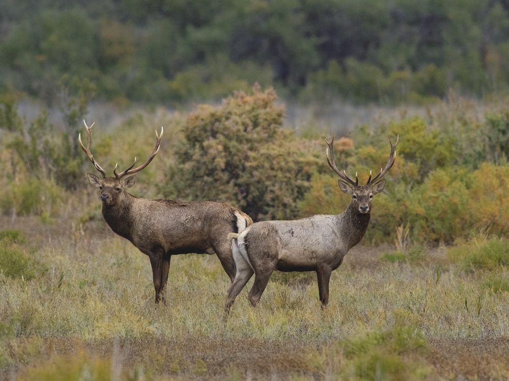 Фотография автора Татьяна Меньшикова