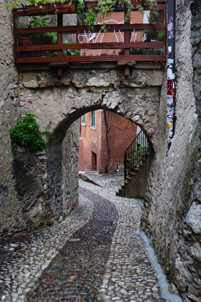 Фотография автора Liudmila Kiermeier