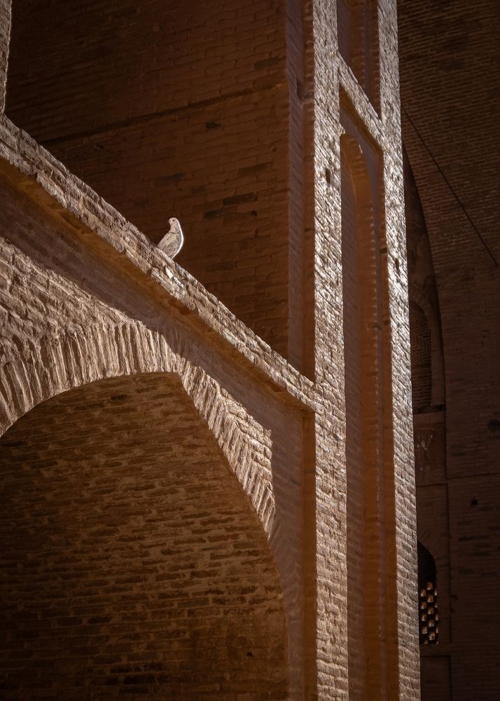 Photograph by Vahid Sabet