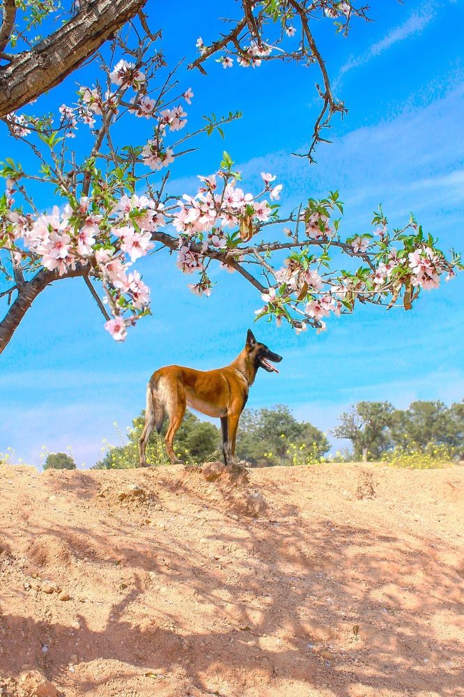 Photograph by Оксана Коваль