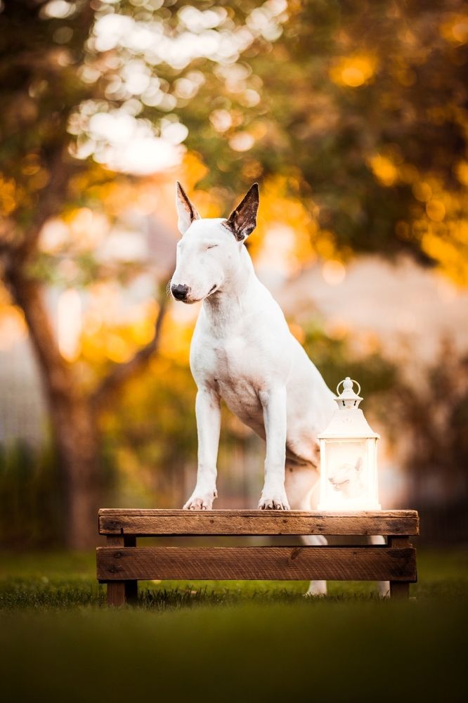 Photograph by Monika Kučerová