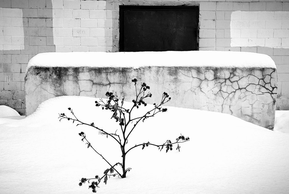 Photograph by Синицына Юлия