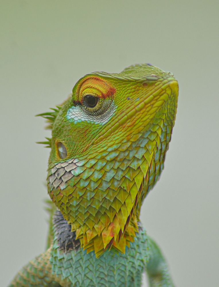 Photograph by Kasun Wickramasinghe