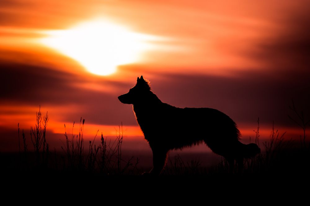 Photograph by Monika Kučerová