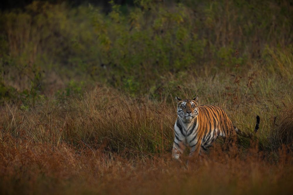 Photograph by Rajeshwari Shukla