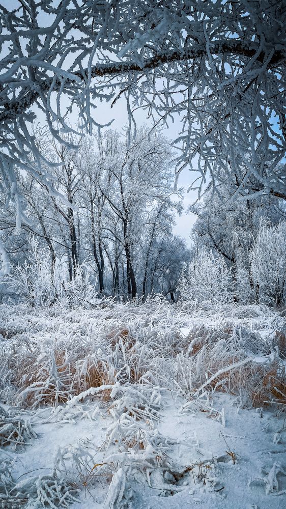 Photograph by Роман Алейников